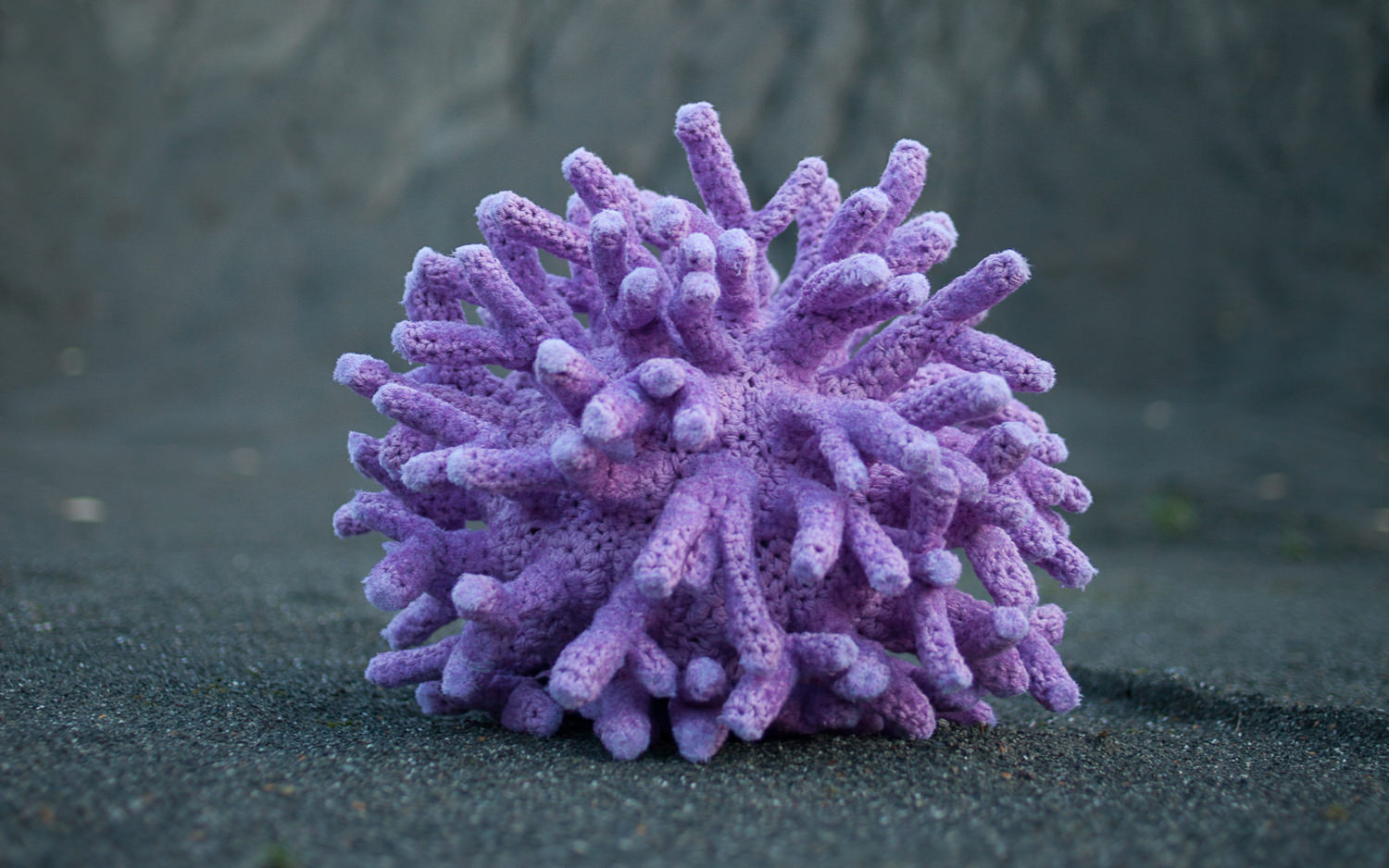 Coralium Bild 01