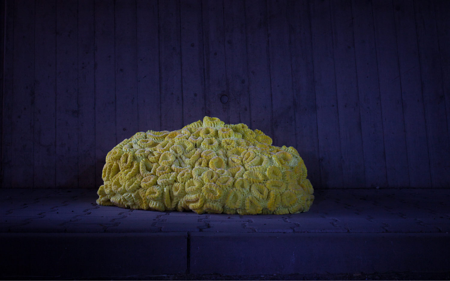 Coralium Bild 02